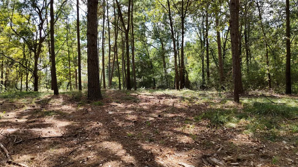 Cherokee Trail Lovelady, TX 77851