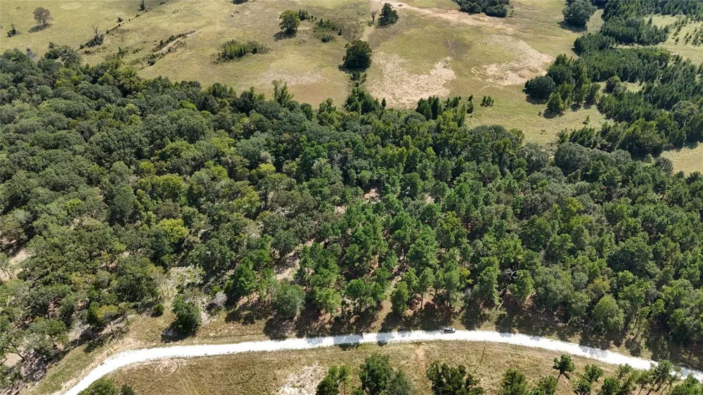 Cherokee Trail Lovelady, TX 77851