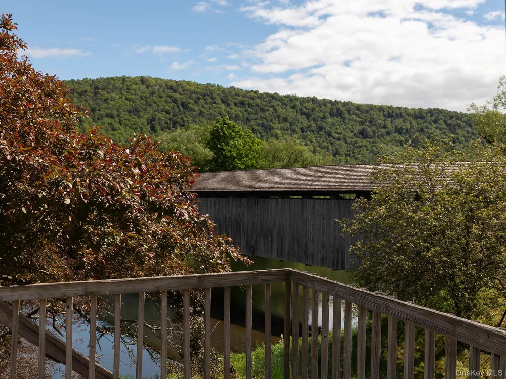 69 Bridge Street Downsville, NY 13755