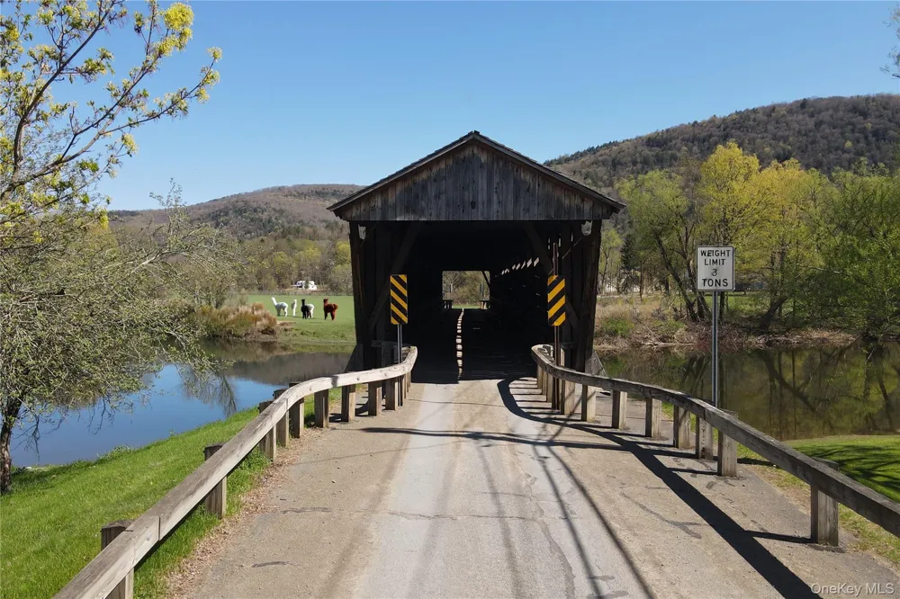69 Bridge Street Downsville, NY 13755
