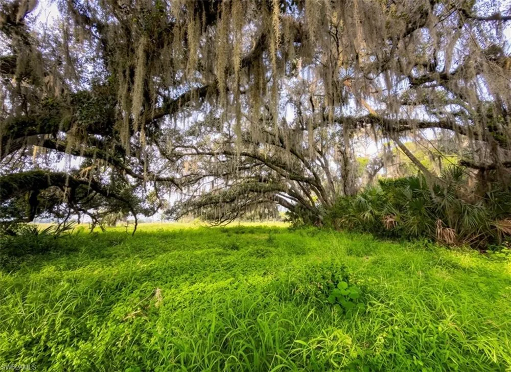 3291 Fort Denaud Road Labelle, FL 33935