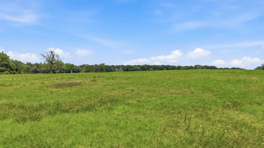 Oak Ridge Road Denison, TX 75021