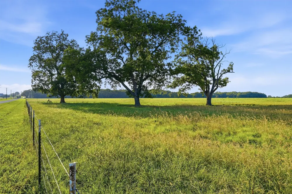 Oak Ridge Road Denison, TX 75021