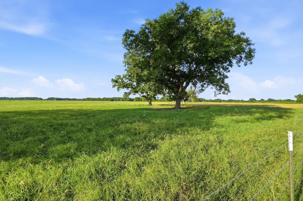 Oak Ridge Road Denison, TX 75021