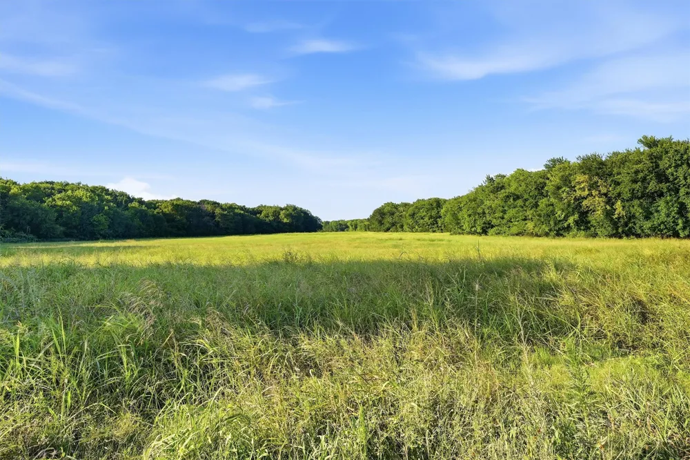 Oak Ridge Road Denison, TX 75021