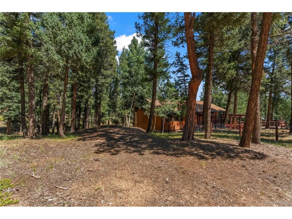 101 Heather Circle Divide, CO 80814