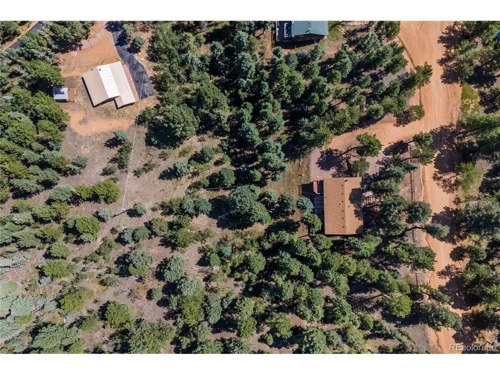 101 Heather Circle Divide, CO 80814