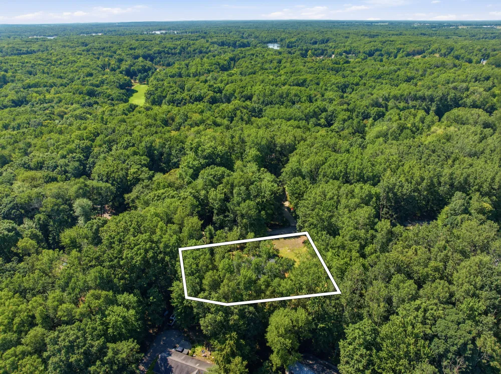 9810 Birdie Drive Morton Township, MI 49346