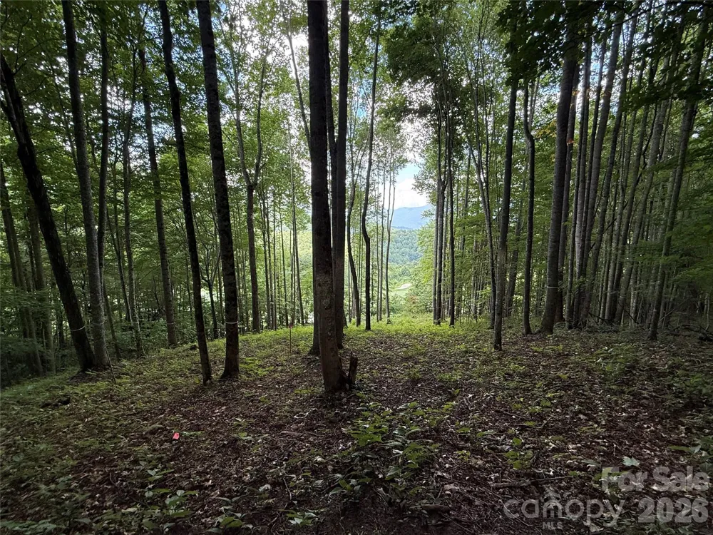 1781 High Line Road #63 Sylva, NC 28779