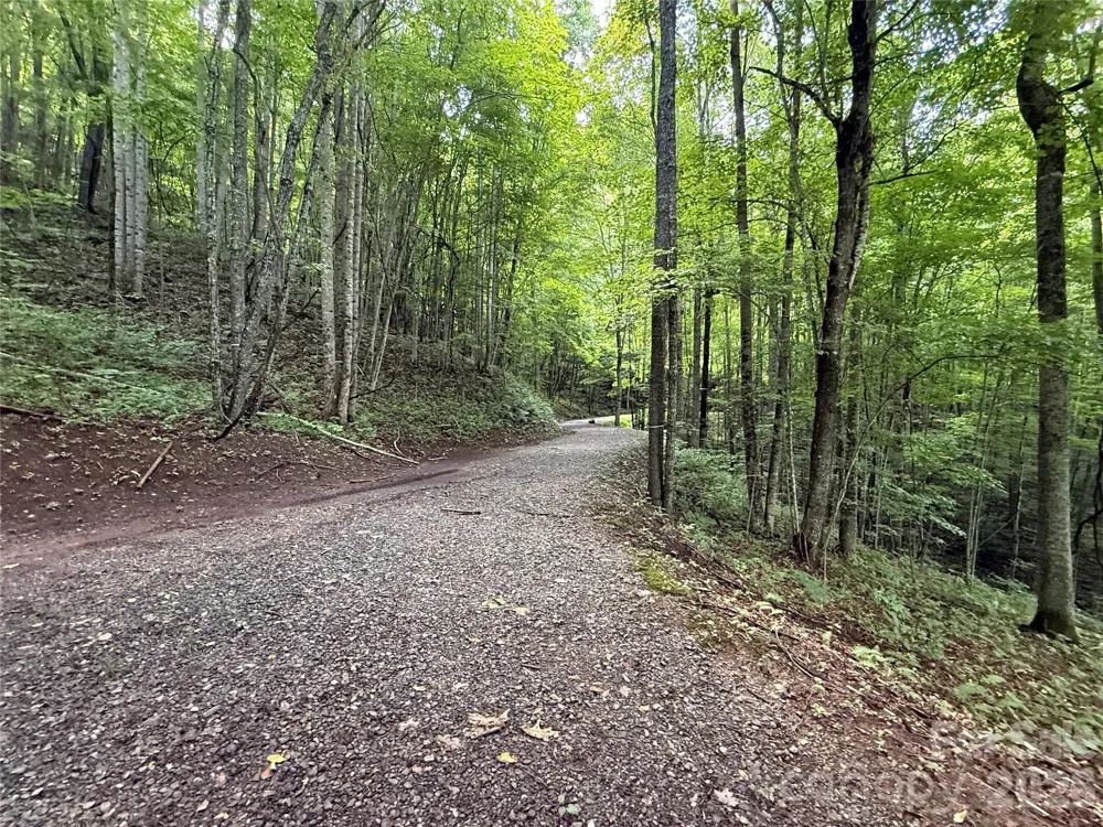 1781 High Line Road #63 Sylva, NC 28779