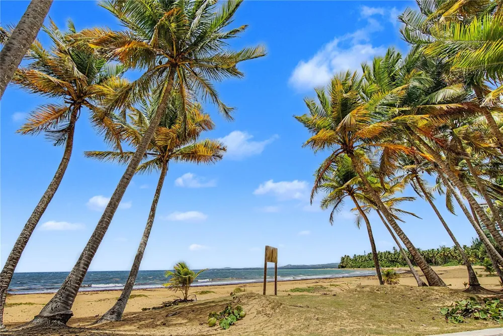 302 OCEAN DRIVE #302 Luquillo, PR 00773