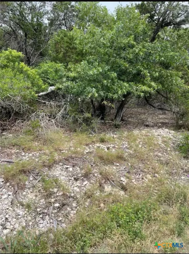 4014 Sherwood Drive Belton, TX 76513