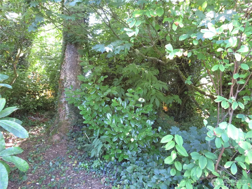 504 Solki Road Aberdeen, WA 98520