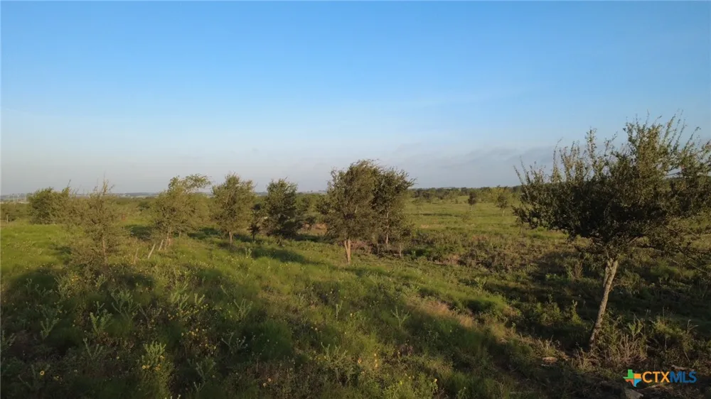 Sandy Ridge Lane Rogers, TX 76569