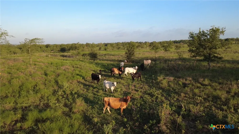 Sandy Ridge Lane Rogers, TX 76569