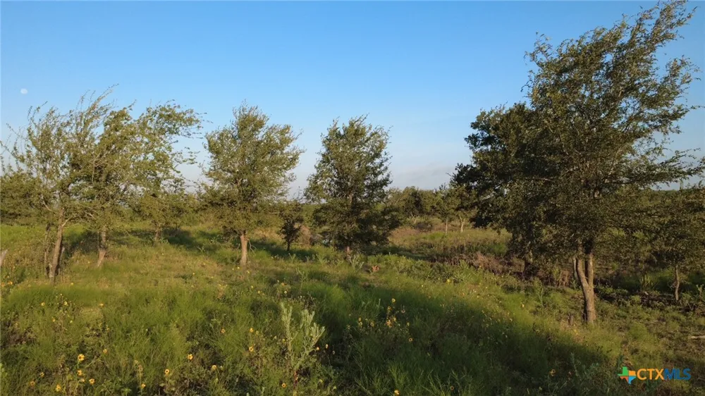Sandy Ridge Lane Rogers, TX 76569