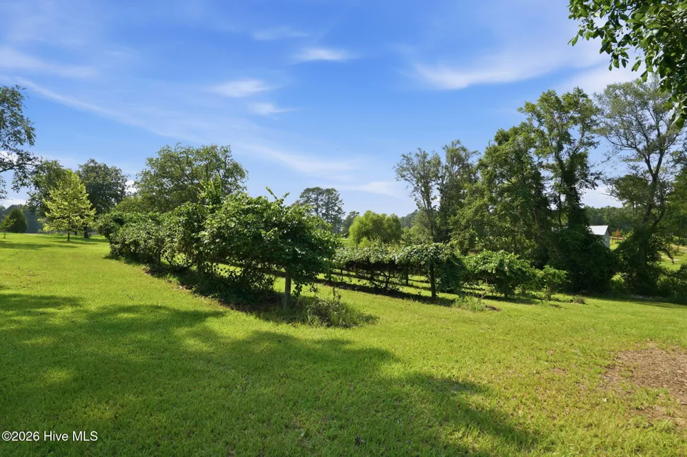 5103 Hillmon Grove Road Cameron, NC 28326