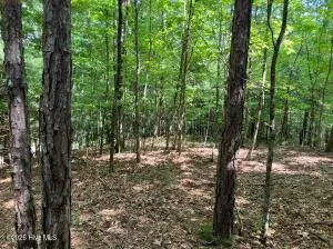 Lot 11 Green Cove Circle
