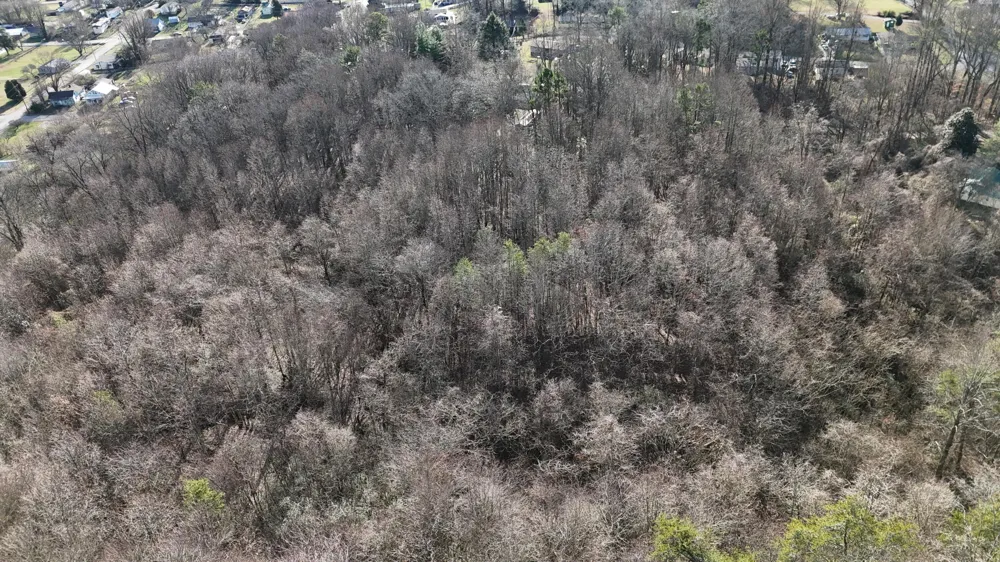 822 W Bates Street Rockwood, TN 37854