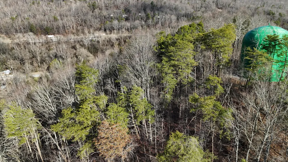 822 W Bates Street Rockwood, TN 37854