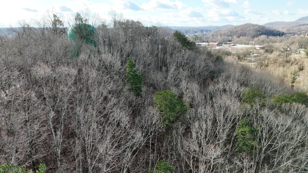 822 W Bates Street Rockwood, TN 37854