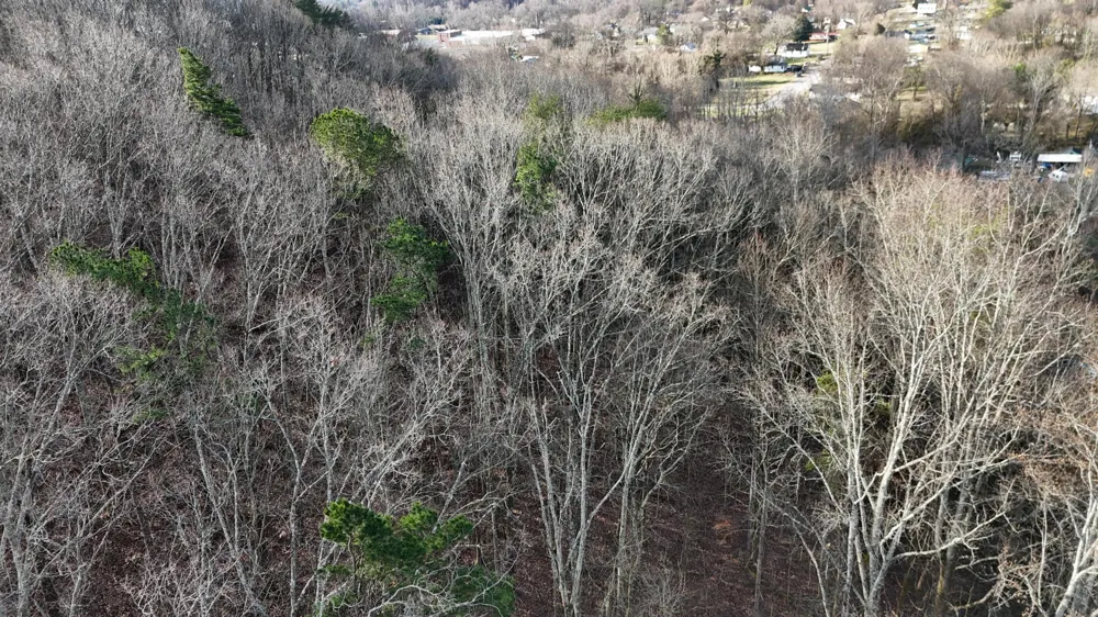 822 W Bates Street Rockwood, TN 37854