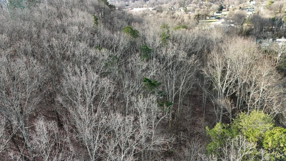 822 W Bates Street Rockwood, TN 37854