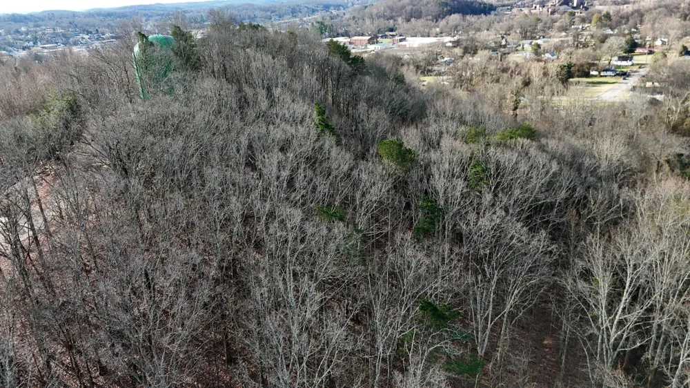 822 W Bates Street Rockwood, TN 37854