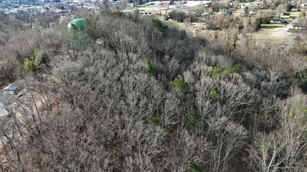 822 W Bates Street Rockwood, TN 37854