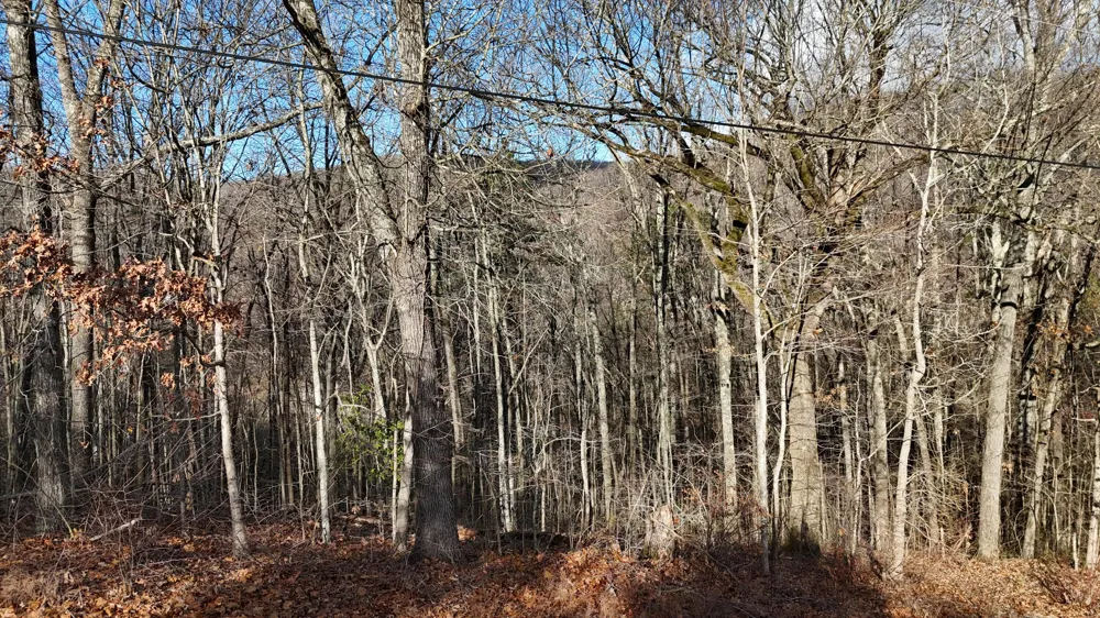 822 W Bates Street Rockwood, TN 37854