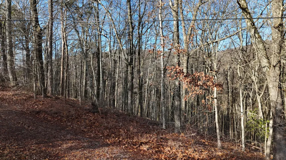 822 W Bates Street Rockwood, TN 37854