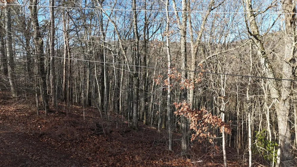 822 W Bates Street Rockwood, TN 37854