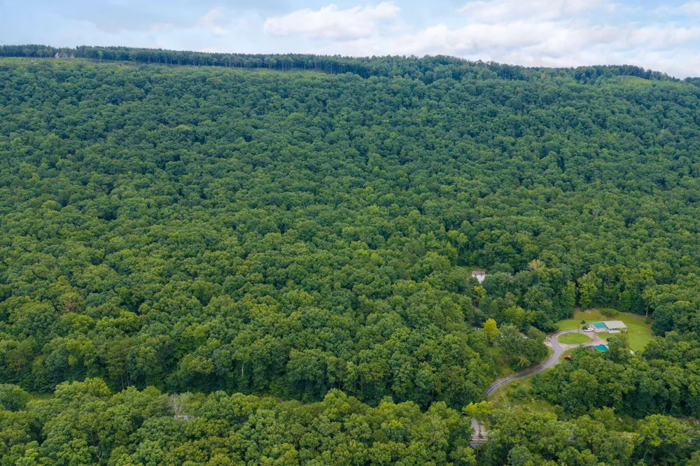 Highway 41 Guild, TN 37340