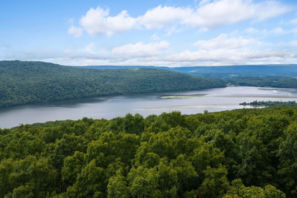 Highway 41 Guild, TN 37340