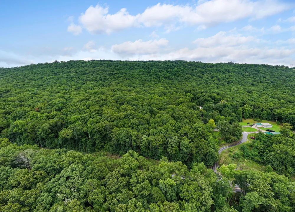 Highway 41 Guild, TN 37340