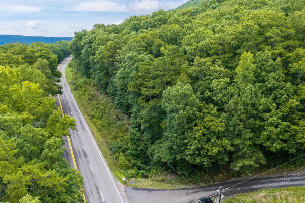 Highway 41 Guild, TN 37340