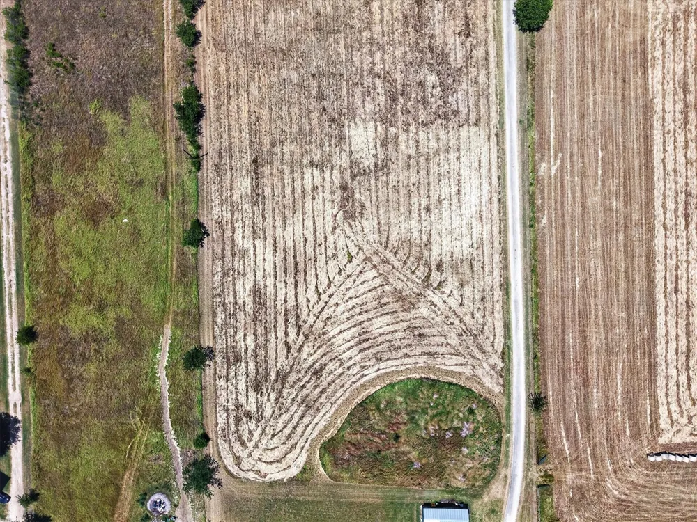 Lone Elm Road Waxahachie, TX 75167