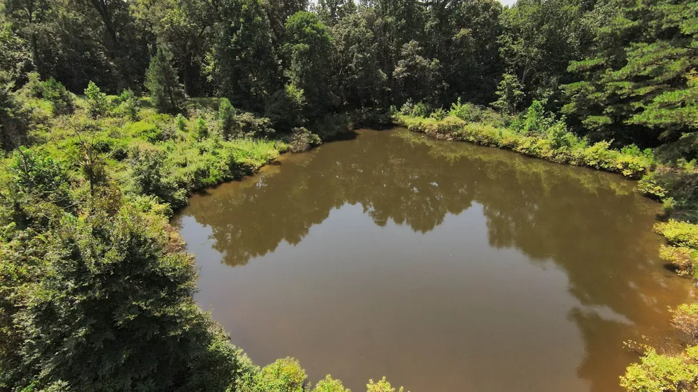 631 Jay Bird Ln Palmersville, TN 38241