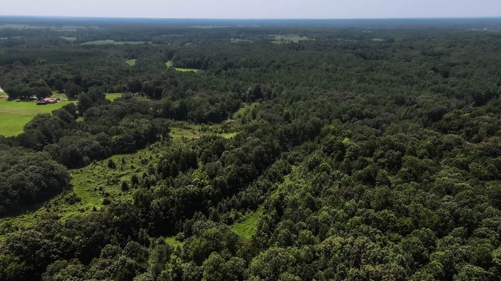 631 Jay Bird Ln Palmersville, TN 38241