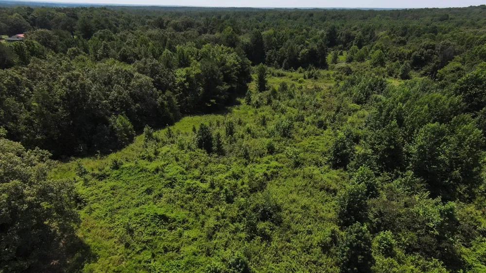 631 Jay Bird Ln Palmersville, TN 38241