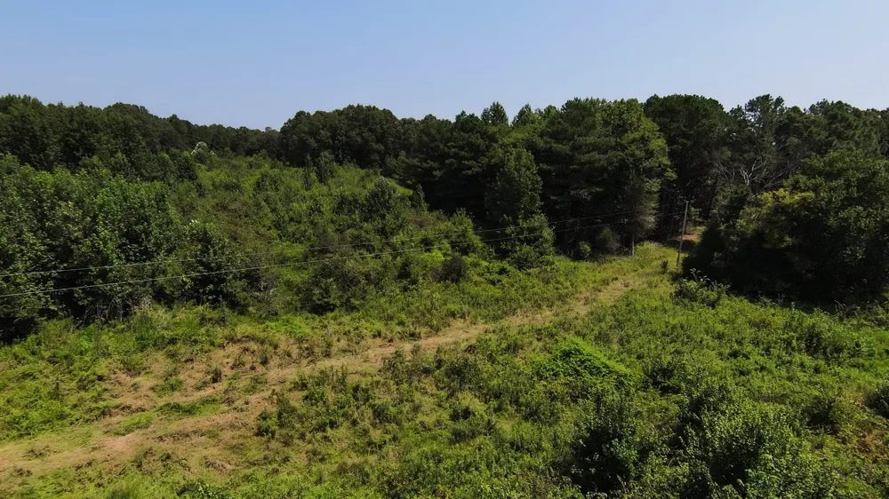 631 Jay Bird Ln Palmersville, TN 38241