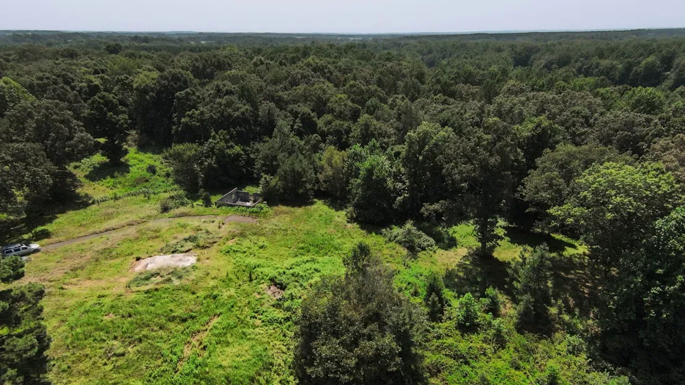 631 Jay Bird Ln Palmersville, TN 38241