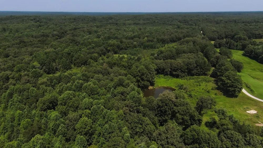 631 Jay Bird Ln Palmersville, TN 38241