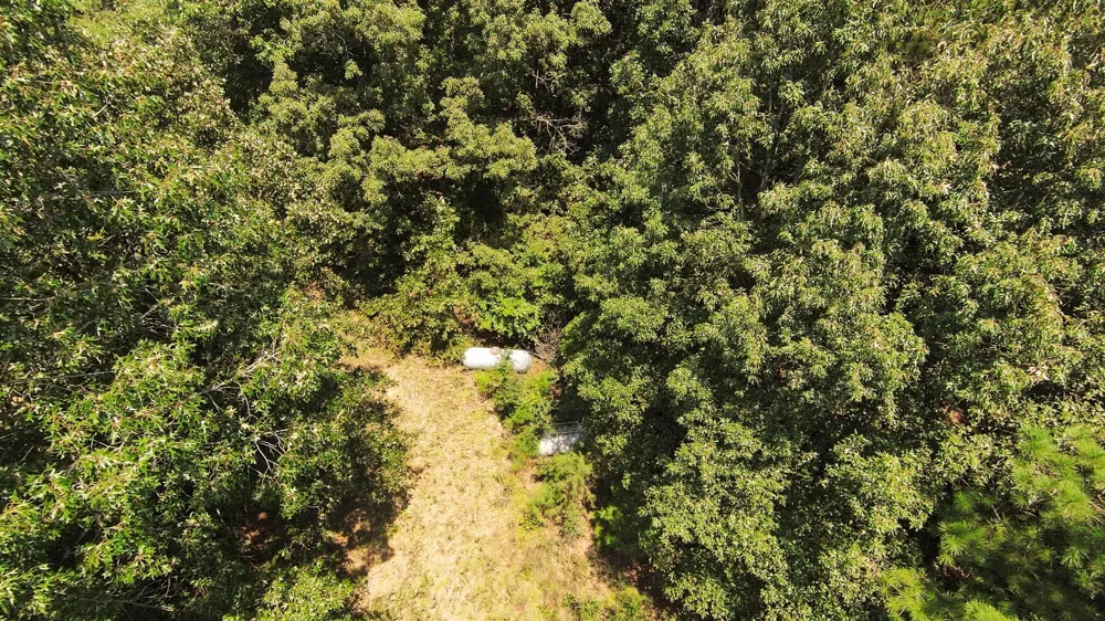 631 Jay Bird Ln Palmersville, TN 38241