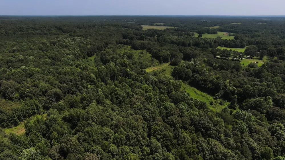 631 Jay Bird Ln Palmersville, TN 38241