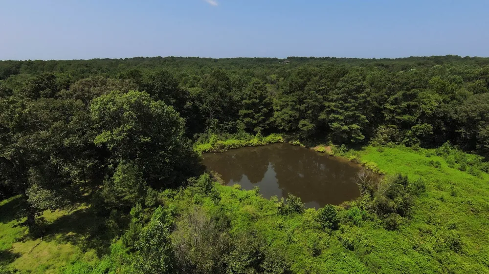 631 Jay Bird Ln Palmersville, TN 38241