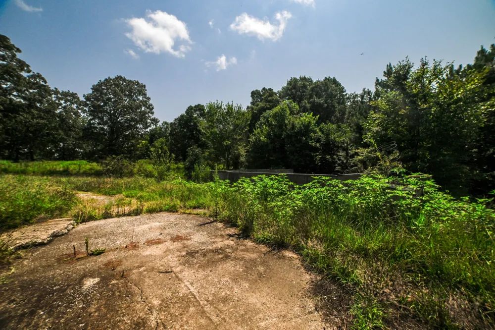 631 Jay Bird Ln Palmersville, TN 38241