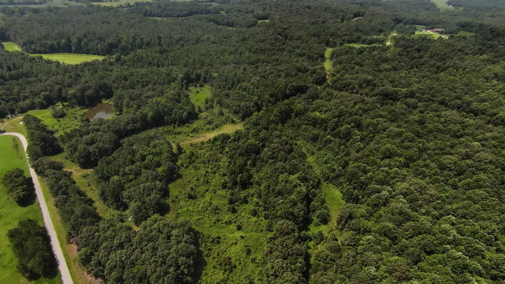 631 Jay Bird Ln Palmersville, TN 38241