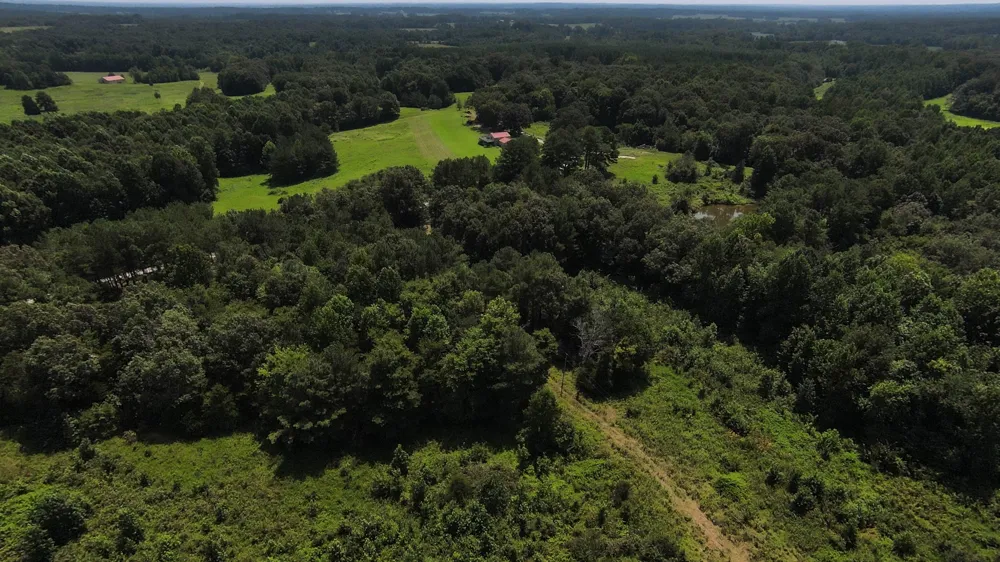 631 Jay Bird Ln Palmersville, TN 38241