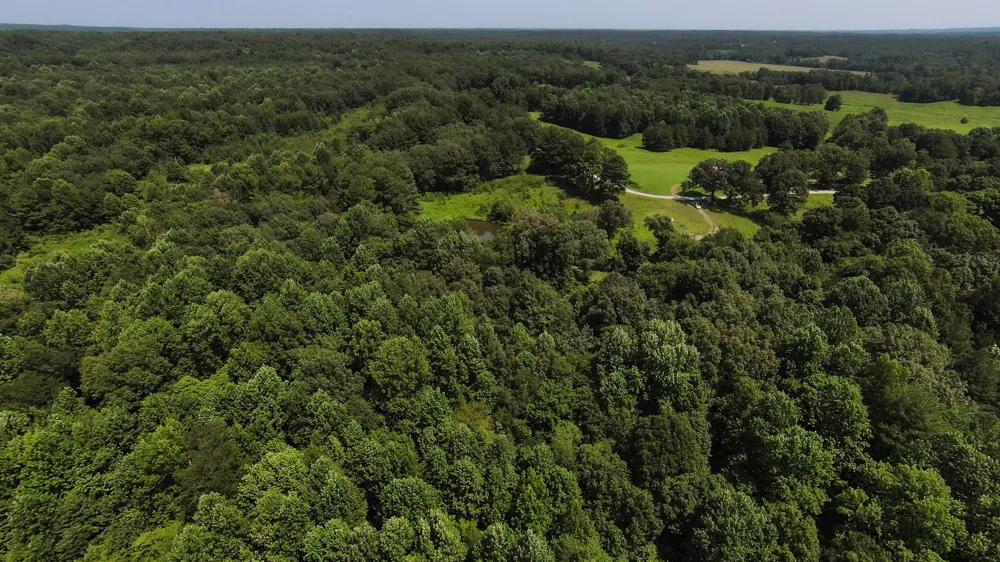 631 Jay Bird Ln Palmersville, TN 38241